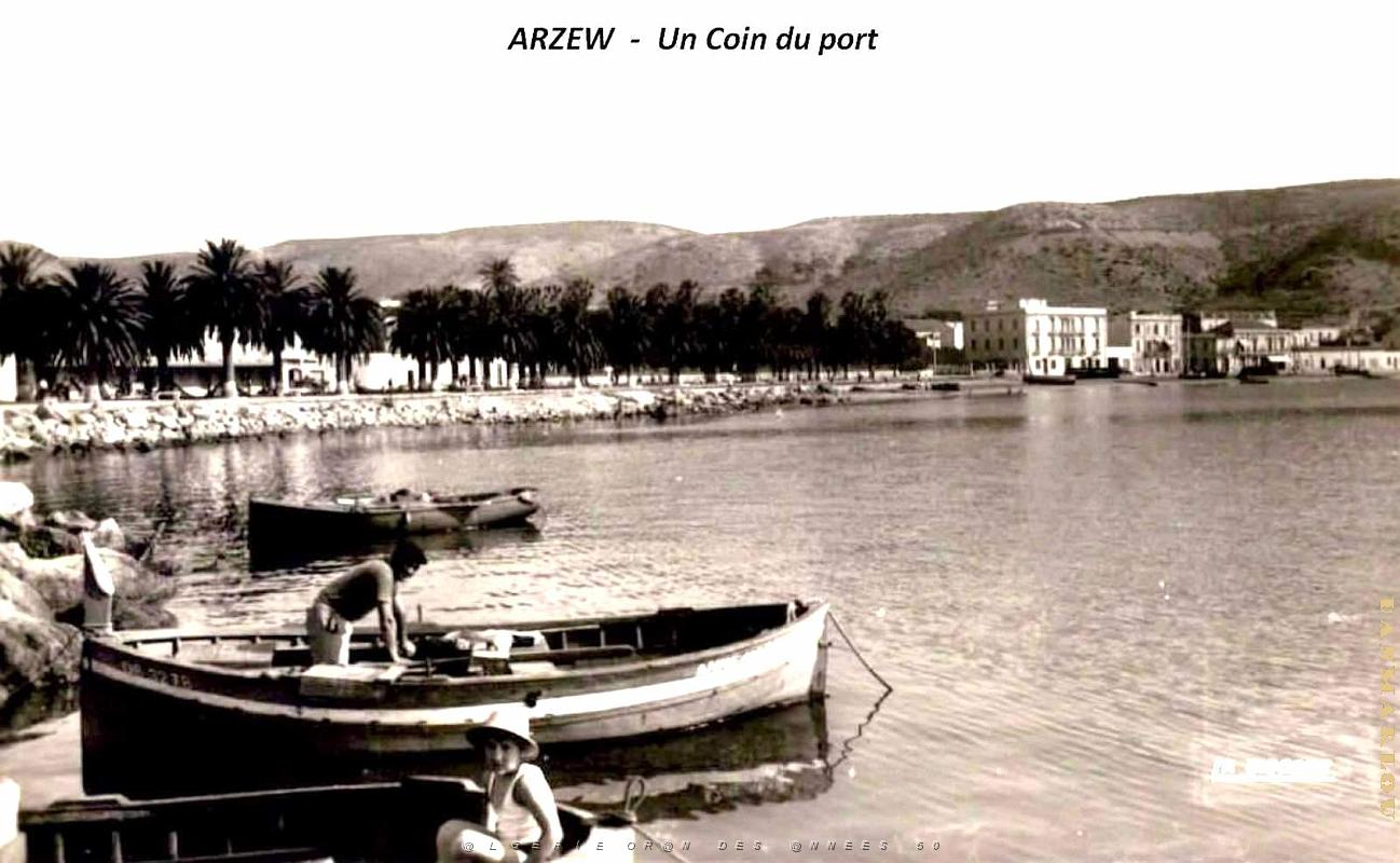 Arzew - Port - Coin.jpg